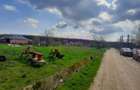 DE VANZARE TEREN 3400 MP IN SAT PODU ILFOVAT / COM BUTURUGENI (GR) - 2