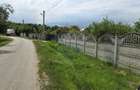 Domeniu rural, gospodarie/multifunctionala cu casa, livada, vie - 48
