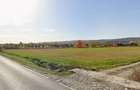 Teren intravilan 13060 mp | Deschidere 64 m la DN72A Voinesti - 1