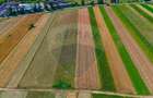 TEREN extravilan- 6 E/MP- CU PLANTATIE DE TRANDAFIRI! Teliu 7000mp - 4