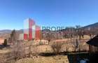 Casă tradițională cu 1800 mp teren  în Sohodol, Bran | Priveliște superba - 11