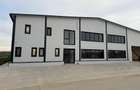 Proprietar, inchirez hala industriala pentru depozitare in Ghiroda - 2