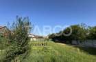 Teren intravilan de vanzare 4783 mp toate utilitatile Turnisor Sibiu - 3
