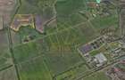 COM 0% Teren extravilan, viitoarea centura de vest | Solventul - 3