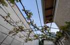 Popa Nan, 2 camere, curte proprie - 7