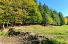Teren 7.160 mp la marginea pădurii– Alexandru cel Bun,acces forestier cod 160785 - 1