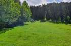 TEREN DE VANZARE INTRAVILAN - 3