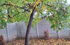 Duplex 2025,su 150mp, 4 dormitoare,living,3 bai,bucatarie,teren 300mp,2 parcari - 18