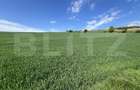 Teren generos 15.900 mp (intravilan + extravilan) în Sâncraiu de Mureș - 3