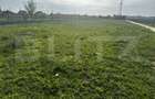 Teren intravilan, 650 mp, zona Prelungirea Panduri - 1