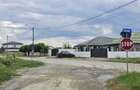 Teren intravilan de vanzare – 1.470 mp | Str. Narciselor, Comuna 1 Decembrie - 6