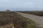 Stupini-DN13 loc de casa - 5