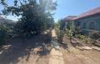 Casă 90 mp + teren 826 mp, lângă parc și lac – Fundeni - 2