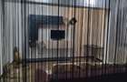 Apartament 2 camere complet utilat, zona Facultății de Drept - 9
