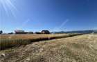 Teren extravilan de 10400 mp cu 2 deschideri in Cristian zona Serelor - 4