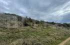 Teren Extravilan, 2800mp Perfect pentru Investitie - 3