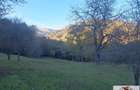 Vanzare casa cu 17399 mp teren Vintu de Jos - Valea Vintului - 4