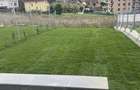 Duplex cu CF,140mp utili,310mp teren, in Borhanci
