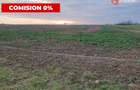 Comision 0% Teren extravilan agricol 21,32 ha sau intravilan cu PUZ aprobat - 21