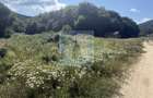 Teren intravilan, cu PUZ aprobat, 500 mp - zona Maierus/Sat Vacanță