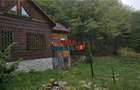 Casă de vacanță la pădure | Teren 891 mp | Valea Ighielului - 13