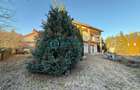 Royal Imobiliare - Vanzare Vila zona Paulesti - 2