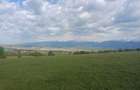Teren extravilan Bradu - zona cu panorama superba - 1