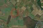 REL4001316 Investitie - Teren extravilan 3 hectare langa Padurea Oracu - 1