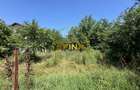 Teren 5341 mp acces dublu Prelungirea Ghencea - 4