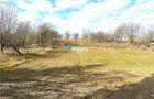 Teren intravilan 4800 mp, investitie,  utilitati complete, Dancas Miroslava - 2