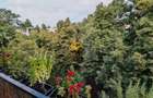 3 camere, modern, garaj, parcare, Central Zona Platinia, Motilor - 16