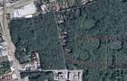 46644 mp teren in Padurea Baneasa proiect exclusivist - 4