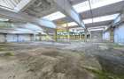 Platforma Industriala-8 ha -Fabrica-Hale Productie-21.500 mp - 13