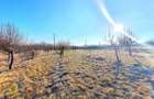 Descoperă Terenul Ideal: 390mp în Daia, Sibiu - 1