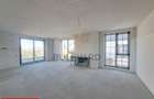 Penthouse 150 mp utili+ terase 200 mp+ 2 parcari subterane +curte 120 mp - 5