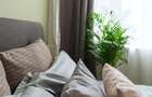 REA1027157 Investitie ready-to-run I Aartament 2 Camere Ultracentral IVenituri d - 9