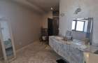 PIPERA IANCU NICOLAE VILA LUX RENOVATA COMPLET 2022 - 59
