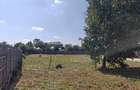 Teren intravilan ~1.400 mp aproape de București – Fundeni, Călărași - 3