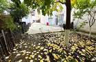 VANZARE CLADIRE CU RESTAURANT UTILAT COMPLET PLUS SPATIU COMERCIAL - 9