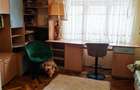 Gospodarie de vanzare in Voila - 15