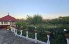 O casă cu suflet, pe un teren cât o poveste întreagă-Deva, zona Vulcan - 18