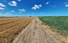 Teren de vanzare intravilan 5000mp localitatea Lazu - 3