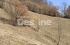 Teren 5000 mp, ideal cabana, pensiune,  in zona de interes  turistic  Rucar-Bran - 3