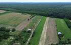 Snagov, Gruiu, Teren Intravilan 8,300 mp, Strada Tobosari - 6