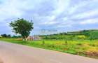 Teren intravilan 717 mp – Sura Mare, Sibiu - 3