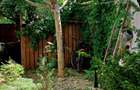 Casa cu suflet - un vibe pe care il simti din prima - 40