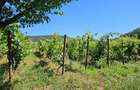 PROPRIETATE EXCEPTIONALA ,TEREN 33.161 MP + RESIDENTA P+1+M - 4