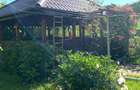 CĂLUGĂRENI-BRĂNIȘTARI-CASA PREMIUM-250 MP-COMISION 0%- 177.000 EUR - 18