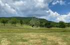Teren 7200 mp-parcelabil-investitie-Sieu Magherus la 16 km de Bistrita - 2
