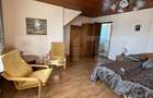 Casa cu destinatii multiple, 8900 mp teren, Vatra Moldovitei - 15